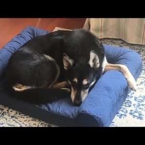 Meet your Posher, Kristin